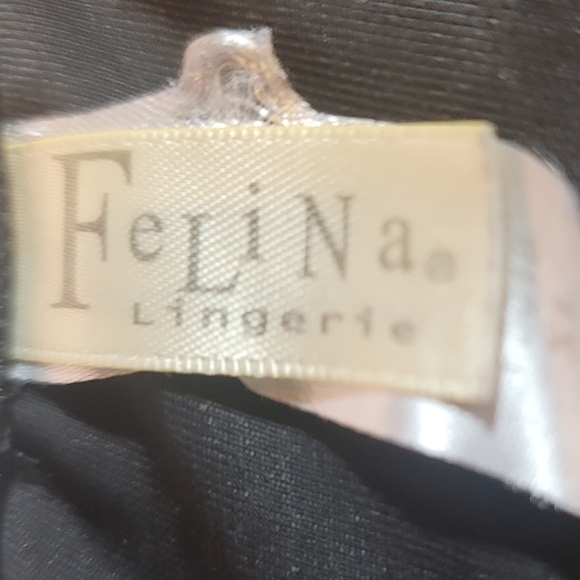 076. EUC ~ FELINA ~ Shaper Top ~ Lace Décolleté ~ Smooths and Holds ~ So Sexy! - Picture 8 of 9